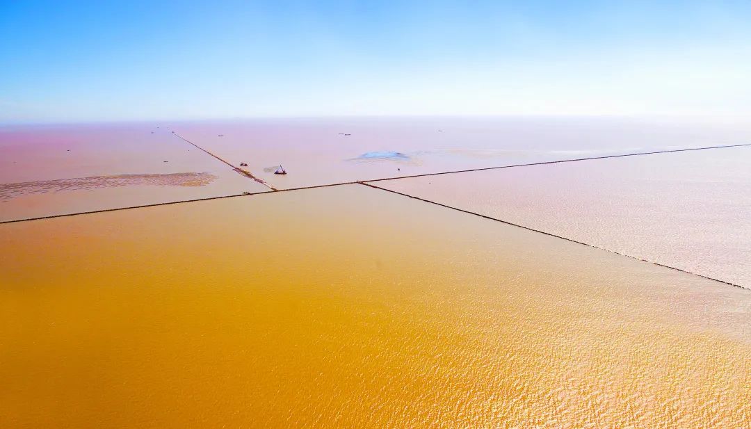 張玉卓、國資、央企、國資委、書記、主任、國企、企業改革