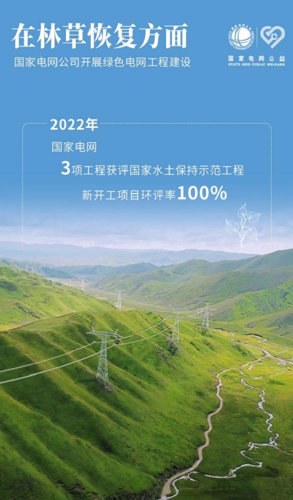 131313.jpg 131313.jpg