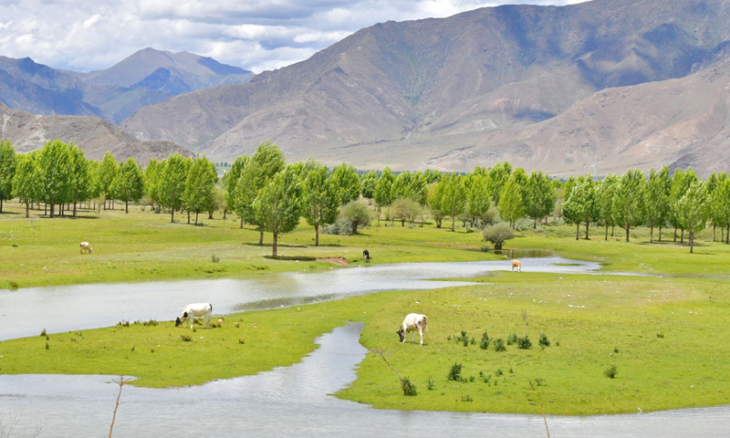 全長400余公里的拉林（拉薩-林芝）公路，是貫穿藏東藏中的重要通道。夏日，拉林公路兩旁綠意盎然、美景如畫。圖為7月16日拍攝的拉林公路沿線風光。（新華社記者 張汝鋒 攝）