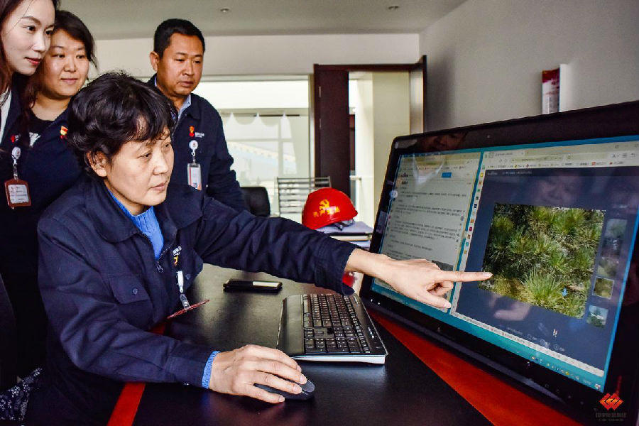 圖為工作人員學(xué)習(xí)植樹知識(shí)。（孫丁 攝）