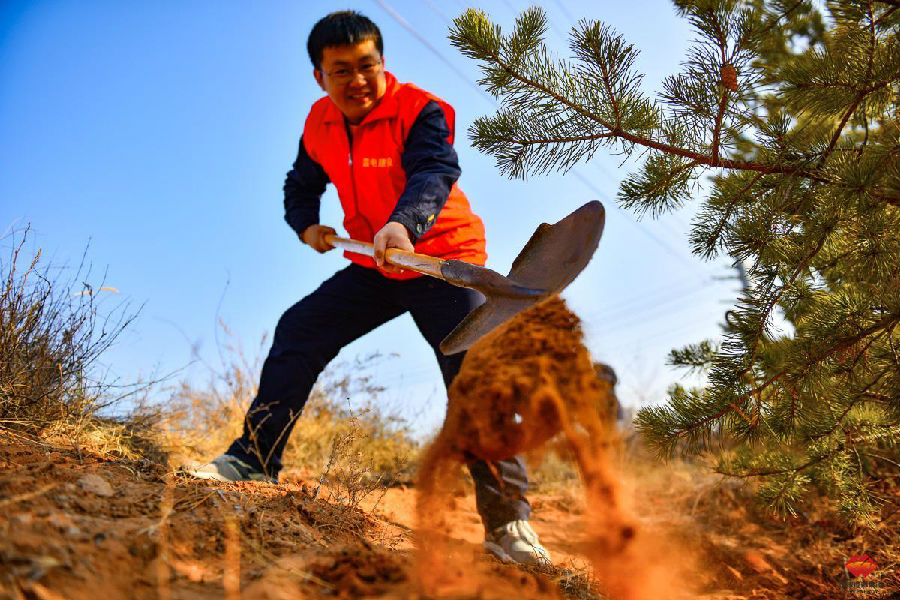 圖為種植現(xiàn)場(chǎng)。（孫丁 攝）