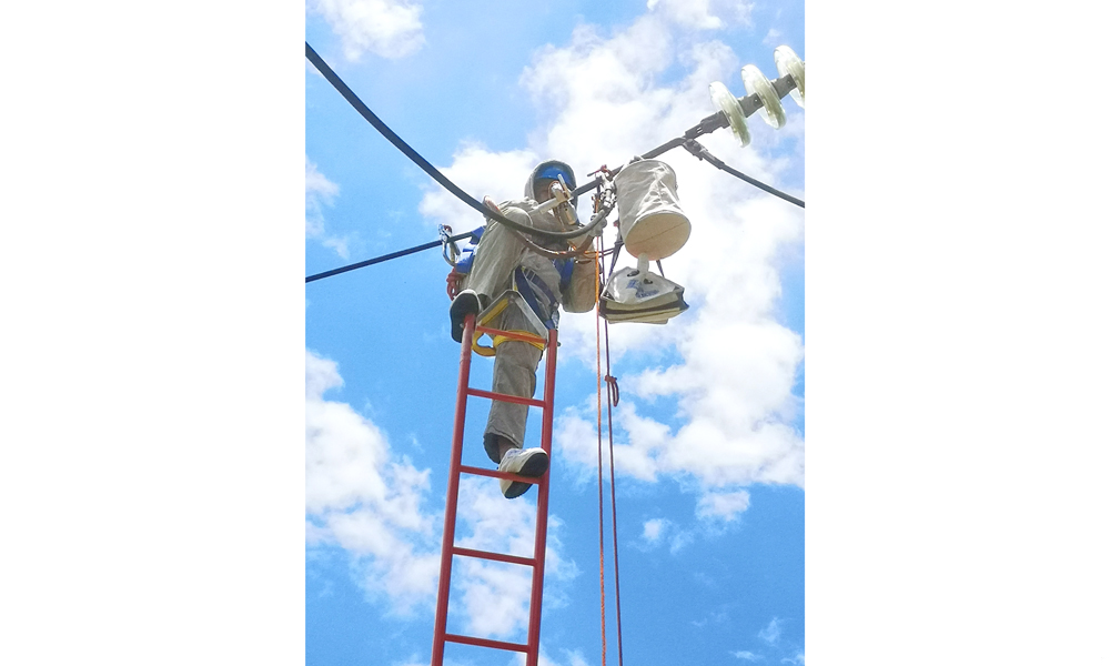 近日，廣東火電組建“迎峰保電”帶電作業(yè)突擊隊，對廣東電網(wǎng)重要輸電線路開展帶電檢修巡查工作，作業(yè)人員全副武裝，采用多項先進技術(shù)和設(shè)備開展帶電作業(yè)，保證電力設(shè)備安全穩(wěn)定運行。