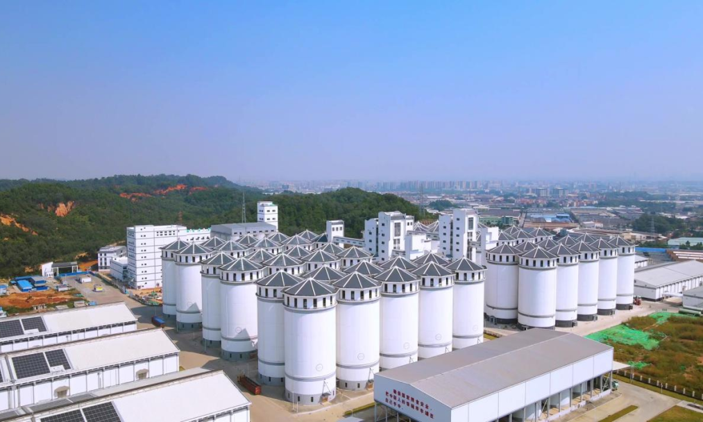 近日，中國(guó)建筑一批重點(diǎn)項(xiàng)目竣工，建設(shè)者用汗水澆灌夢(mèng)想，奮力搶抓一季度“開門紅”。圖為廣東佛山糧食倉(cāng)儲(chǔ)設(shè)施及小麥應(yīng)急加工生產(chǎn)線建設(shè)項(xiàng)目。該項(xiàng)目是廣東省重點(diǎn)民生保障工程，建設(shè)有3萬噸立筒倉(cāng)和2條小麥加工生產(chǎn)線及其附屬設(shè)施。糧倉(cāng)內(nèi)配備生產(chǎn)車間設(shè)備組群、全自動(dòng)智能磨粉機(jī)等智能設(shè)備，并設(shè)有測(cè)溫儀器實(shí)時(shí)監(jiān)控，精準(zhǔn)掌控糧食溫濕度。項(xiàng)目投產(chǎn)后年小麥加工能力預(yù)計(jì)達(dá)到18萬噸，將進(jìn)一步提升佛山市糧食儲(chǔ)備和應(yīng)急加工能力，促進(jìn)粵港澳大灣區(qū)面粉市場(chǎng)發(fā)展，對(duì)保障國(guó)家糧食安全、穩(wěn)定糧食價(jià)格和助推地方經(jīng)濟(jì)發(fā)展具有重要意義。