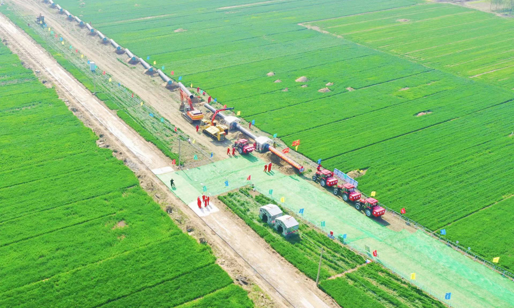 目前，中國石化天然氣分公司中原儲氣庫群東部氣源管道工程建設正在全速推進中。圖為近日拍攝的項目建設現場。