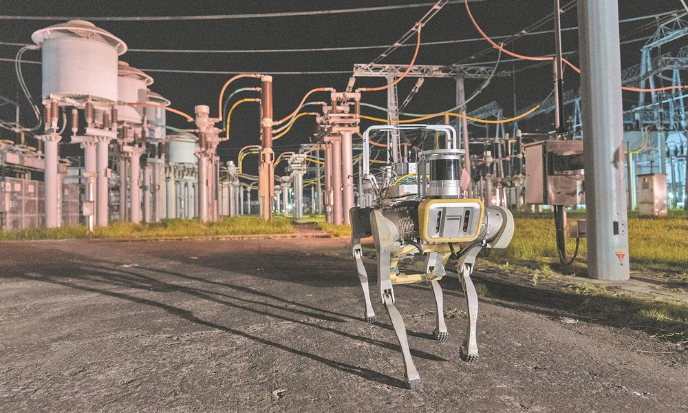 近日，國家電網江蘇南京供電公司運用智能變電站自動巡檢機器人對500千伏東善橋變電站開展夜間巡檢。