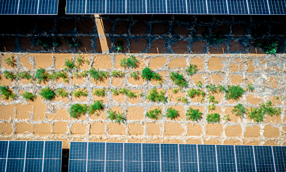 “草方格+播撒草籽”的方式，為“沙戈荒”固沙治沙和植被生長貢獻成功的“國家能源經驗”。