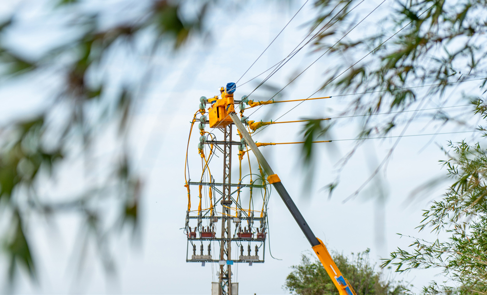 春耕期間，南方電網(wǎng)廣東電網(wǎng)主動(dòng)當(dāng)好農(nóng)民的“電管家”，供電人員深入田間地頭，利用“人巡+機(jī)巡”的方式對(duì)供電線路、設(shè)備進(jìn)行全面“體檢”，全力服務(wù)農(nóng)民用電需求，確保春耕生產(chǎn)“電力十足”。圖為南方電網(wǎng)廣東珠海斗門供電局對(duì)農(nóng)村線路開展絕緣導(dǎo)線、避雷器、絕緣子等更換工作。