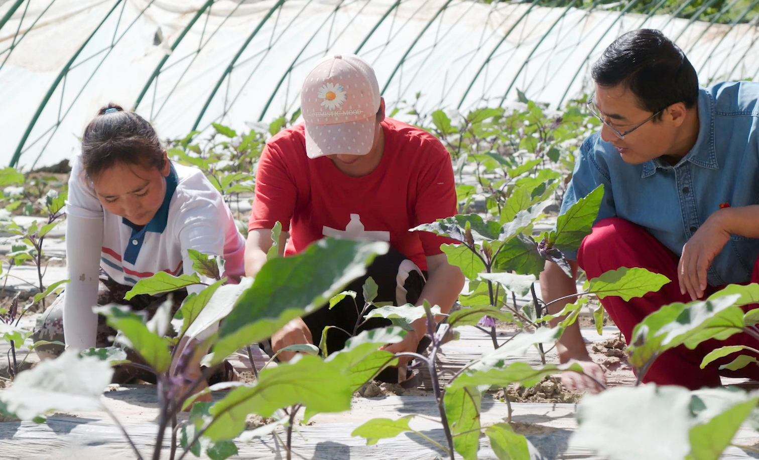 招商局集團始終堅持參與式幫扶的理念，幫助農(nóng)戶嵌入產(chǎn)業(yè)發(fā)展鏈條，提升農(nóng)戶自身發(fā)展能力，構(gòu)建緊密的利益鏈接機制，形成“科技+企業(yè)+基地+農(nóng)戶”的運作模式。項目建設(shè)過程中吸納周邊低收入人口務(wù)工，項目投資形成的產(chǎn)業(yè)大棚資產(chǎn)歸村集體所有，主要租賃給種植大戶，種植辣椒、瓜果等反季節(jié)蔬菜，銷往湖南、湖北、四川等地。圖為工作人員向大棚種植戶了解生產(chǎn)情況。