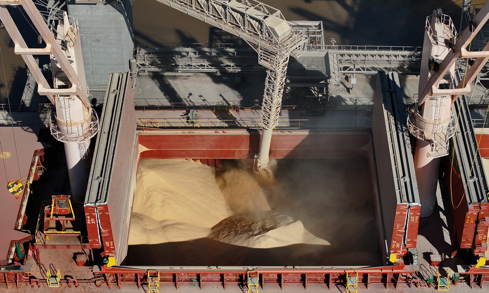 中糧國際是中糧集團旗下主營海外大宗農(nóng)產(chǎn)品業(yè)務(wù)的專業(yè)化公司，在全球36個國家和地區(qū)設(shè)有分支機構(gòu)。在拉美地區(qū)，中糧國際的目標(biāo)是在2025年建立“零毀林”大豆供應(yīng)鏈。圖為中糧國際在提布斯港裝載首船“零毀林”大豆產(chǎn)品。