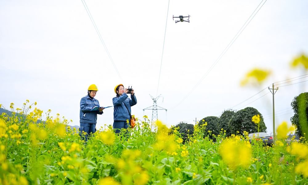 南方電網(wǎng)貴州凱里岑鞏供電局對10千伏水壩線的桿塔、絕緣子、導(dǎo)線、開關(guān)等進(jìn)行逐一“體檢”，全力保障春耕生產(chǎn)電力供應(yīng)。