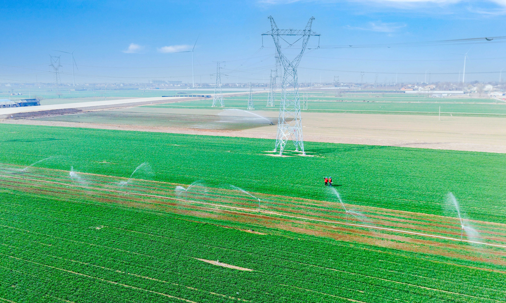 春回大地，各地?fù)屪マr(nóng)時(shí)，加緊開展春季田間管理和春耕生產(chǎn)。國家電網(wǎng)持續(xù)提升農(nóng)村電力保障水平，全力做好春耕春灌供電服務(wù)工作。國家電網(wǎng)各單位優(yōu)化完善農(nóng)村電網(wǎng)網(wǎng)架結(jié)構(gòu)，加強(qiáng)農(nóng)網(wǎng)線路巡檢維護(hù)，跟蹤服務(wù)高標(biāo)準(zhǔn)農(nóng)田和智慧農(nóng)業(yè)電力設(shè)施建設(shè)，為助力全年糧食增產(chǎn)增收，促進(jìn)農(nóng)業(yè)增效益、農(nóng)村增活力、農(nóng)民增收入提供可靠電力保障。圖為國家電網(wǎng)河南焦作溫縣供電公司工作人員巡檢涉農(nóng)輸配電線路。