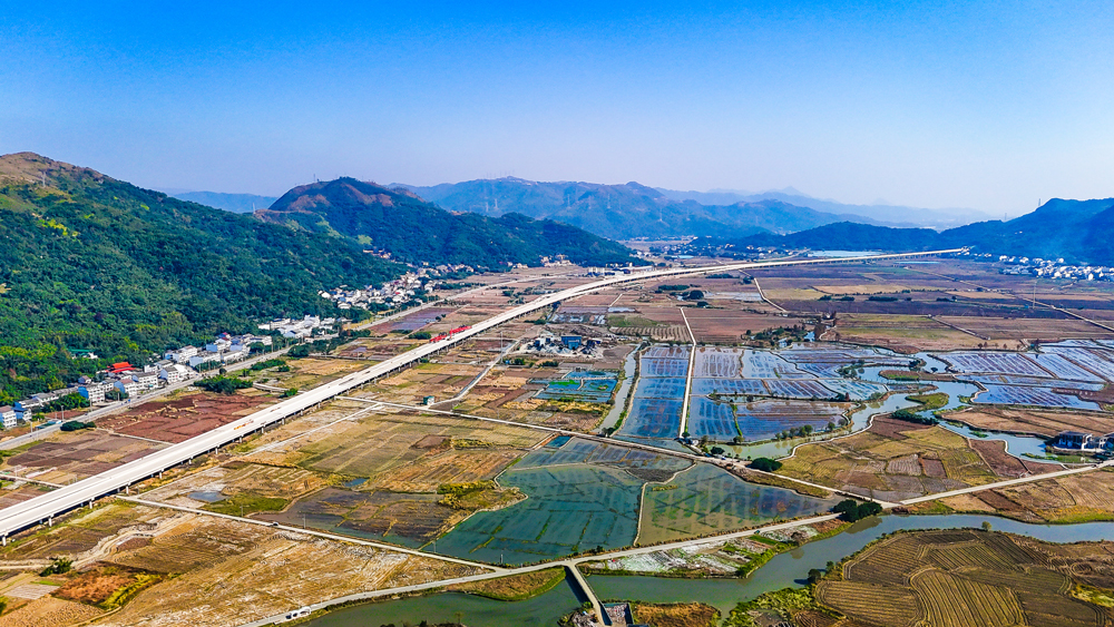 工程建設過程中，建設團隊攻克多項技術難關。針對南湖片區20米厚淤泥地質，采用多樣化鉆孔平臺支撐形式和長護筒跟進技術，提前兩月完成756根超長樁基；在龍涵橋現澆箱梁施工中，運用智能監測系統實現合龍標高零誤差。通過建立智慧建設管理系統，隧道施工采用可視化監管、3D激光斷面儀等先進技術，形成全方位的質量管控矩陣。圖為瑞蒼高速公路南湖1號特大橋。