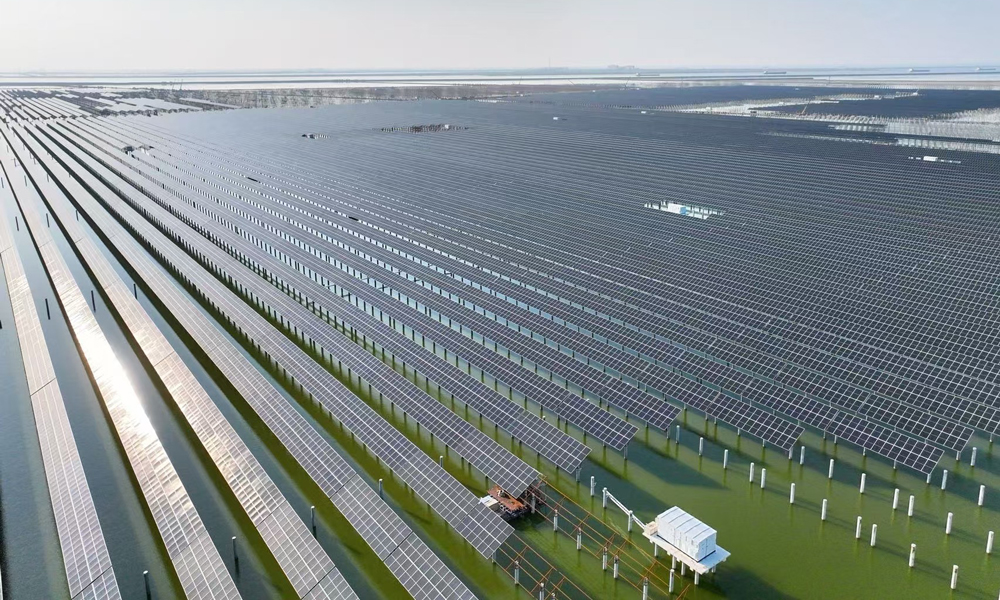 中國華能濱州85萬千瓦光伏項目位于山東省濱州市沾化區濱海鎮，占用海域灘涂1.58萬畝，安裝光伏組件169萬余塊，敷設電纜超8000公里，集電線路最大跨距1273米，是山東省跨距最大的輸電工程。