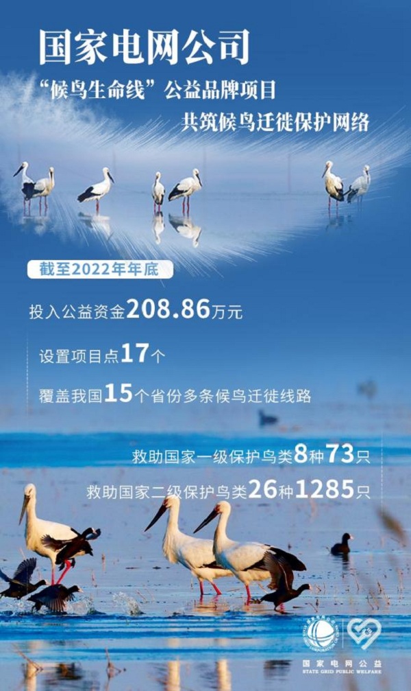 101010.jpg 101010.jpg