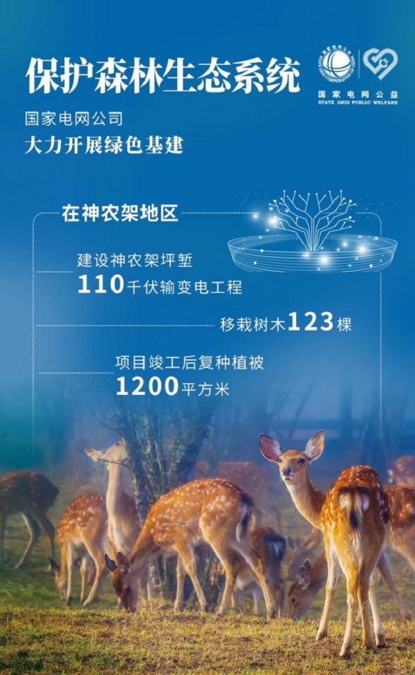 181818.jpg 181818.jpg