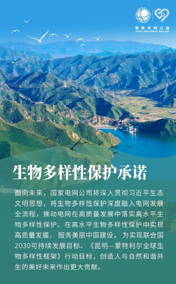 232323.jpg 232323.jpg