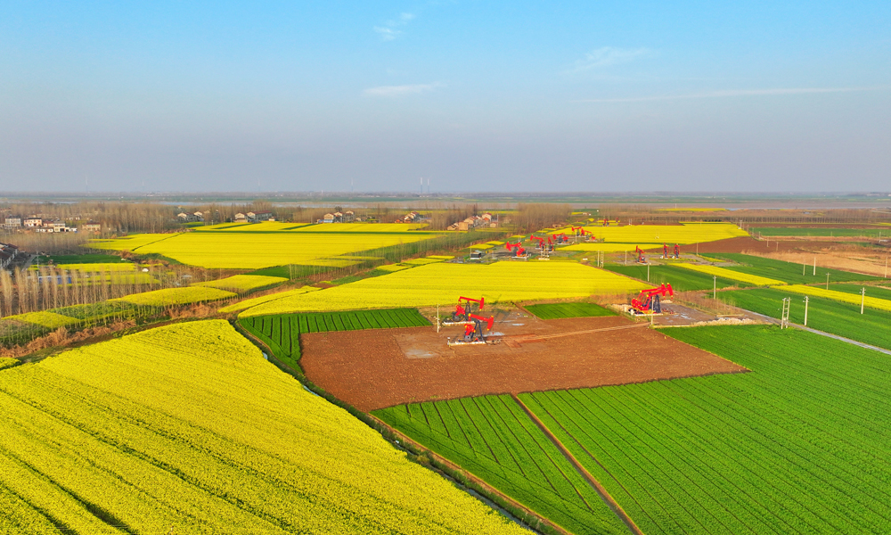 今年以來，中國(guó)石化江漢油田緊抓春季上產(chǎn)有利時(shí)期，發(fā)揮一體化合作優(yōu)勢(shì)，扎實(shí)抓好鉆、試、投等工作，全力跑出產(chǎn)建加速度。圖為江漢油田潭口油區(qū)。