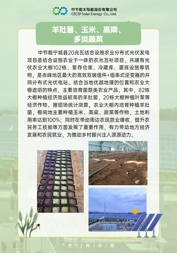 中國節能助力鄉村振興 (8).png