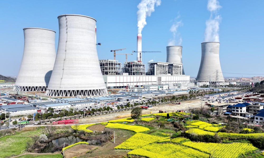 江西神華九江公司二期擴(kuò)建項(xiàng)目工地與金浪翻涌的油菜花海共同涌動(dòng)生機(jī)，項(xiàng)目建成后，將充分發(fā)揮對(duì)華中和江西區(qū)域的能源保障作用，為地方經(jīng)濟(jì)和社會(huì)高質(zhì)量發(fā)展注入國能力量。許海軍 攝