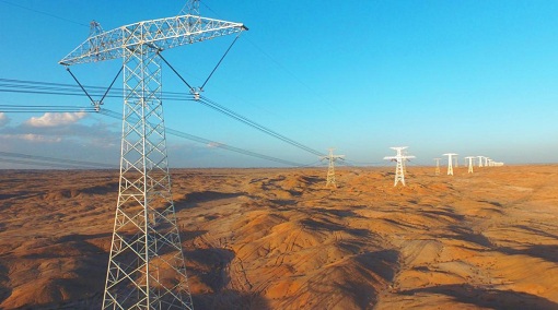 世界環(huán)境日：“國網(wǎng)綠”為綠水青山賦能