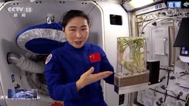 QQ截圖20221012231719.jpg QQ截圖20221012231719.jpg