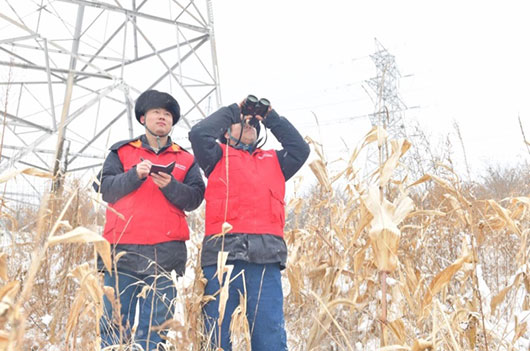 應對寒潮降溫 國家電網全力保障安全可靠供電