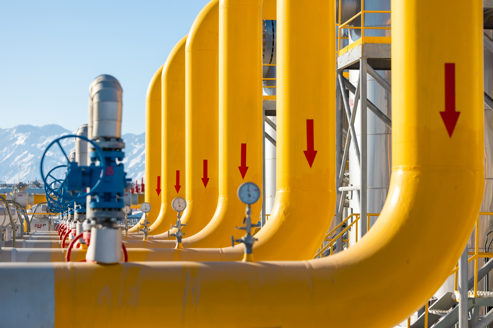 10291079_4H0A0630.jpg 10291079_4H0A0630.jpg