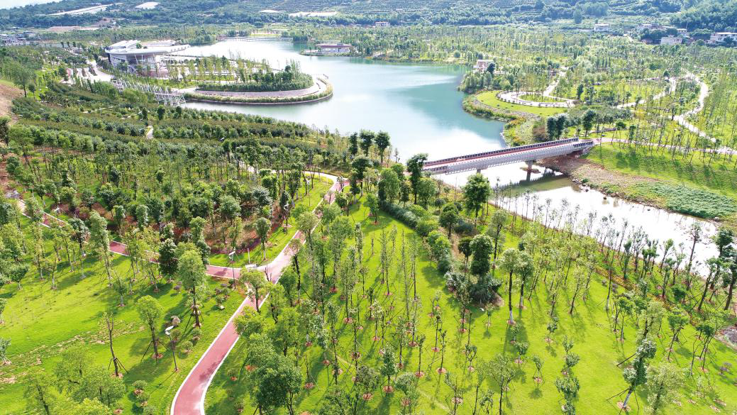 圖片5.png 圖片5.png