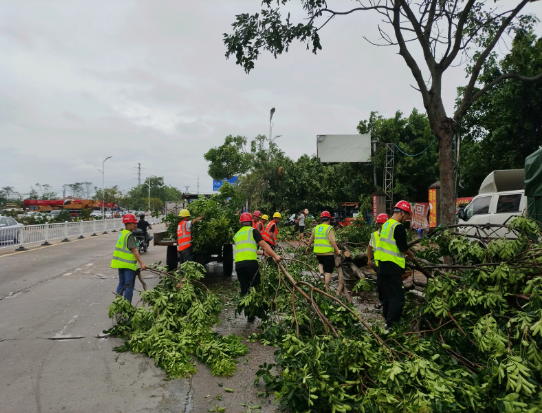 六局華南2.png 六局華南2.png