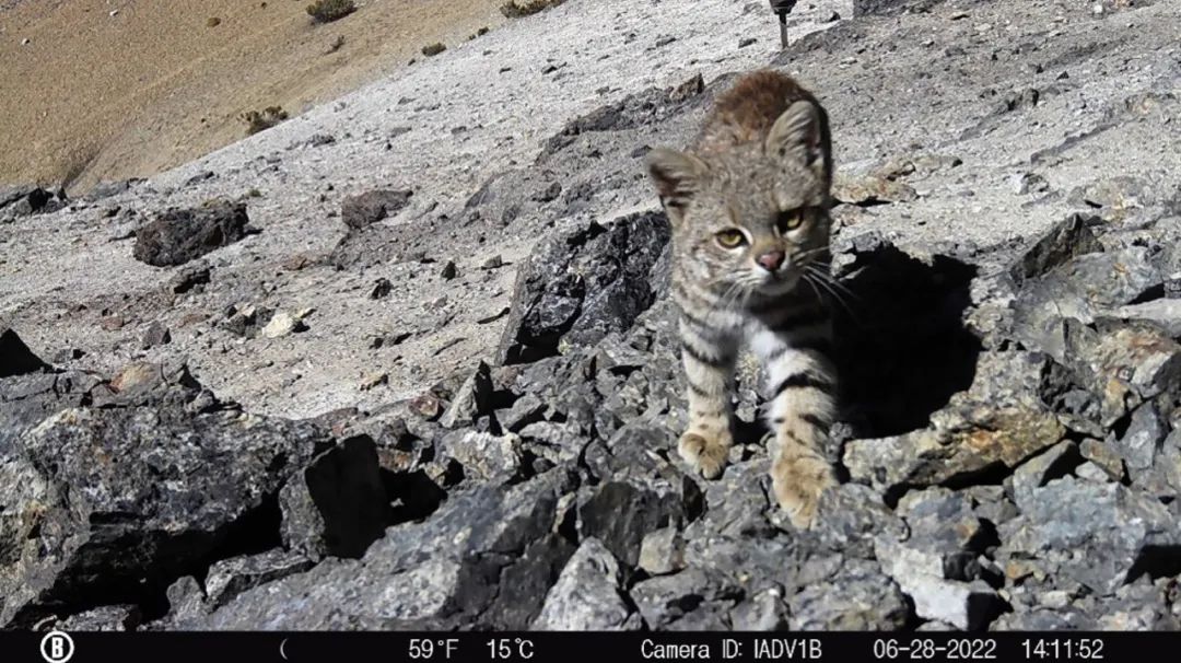 640 (5).jpg 640 (5).jpg