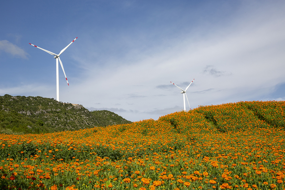 微信圖片_202312230912391a.jpg 微信圖片_202312230912391a.jpg