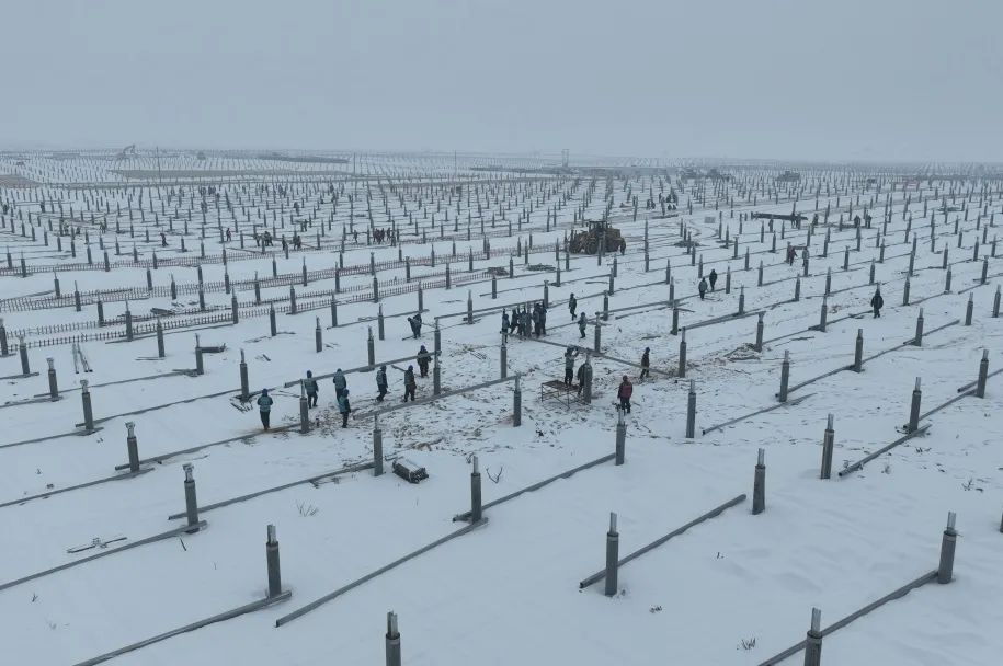 圖片8.png 圖片8.png