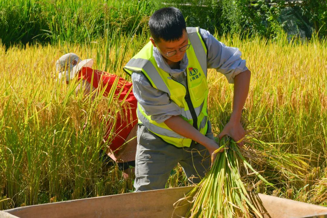 291A11F0-4027-4ACE-878F-D4BC49349EE7.png 291A11F0-4027-4ACE-878F-D4BC49349EE7.png