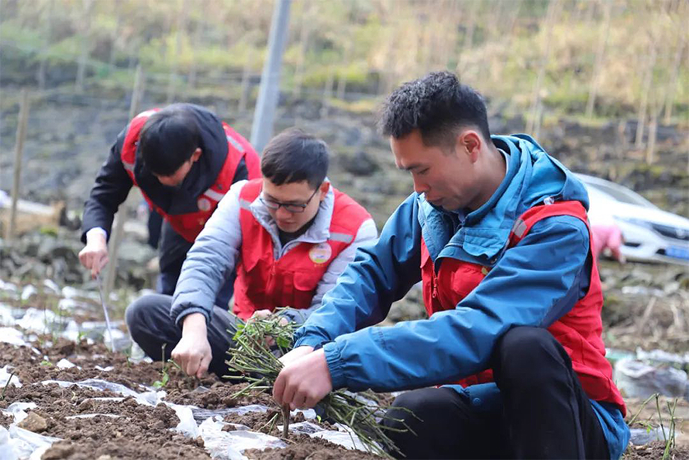 微信圖片_20230325012157.jpg 微信圖片_20230325012157.jpg