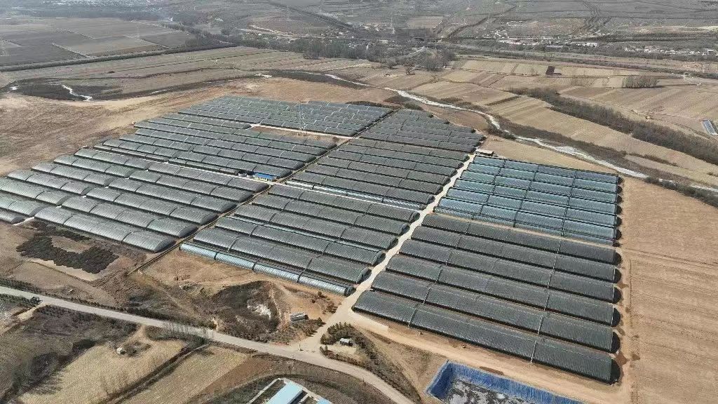 微信圖片_202406131448502.jpg 微信圖片_202406131448502.jpg