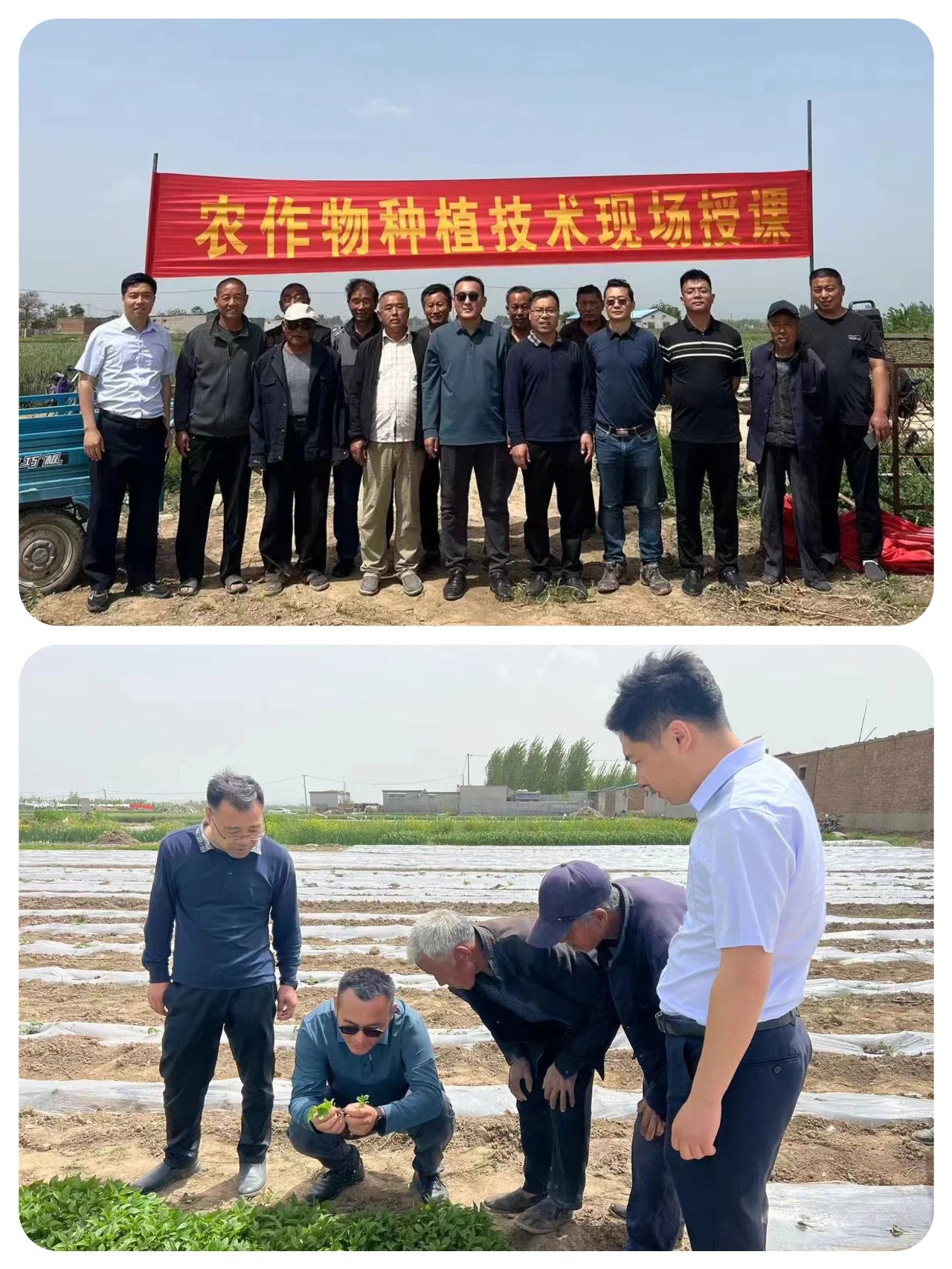 微信圖片_20240617092809.jpg 微信圖片_20240617092809.jpg