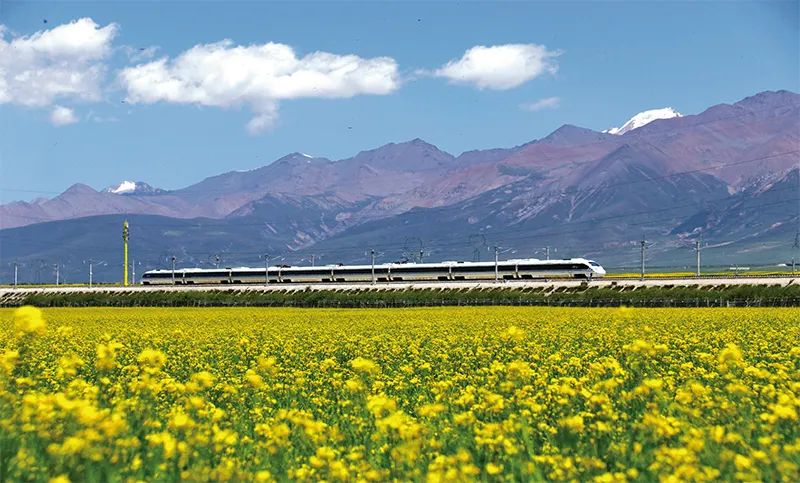 張玉卓、國資、央企、國資委、書記、主任、國企、企業改革