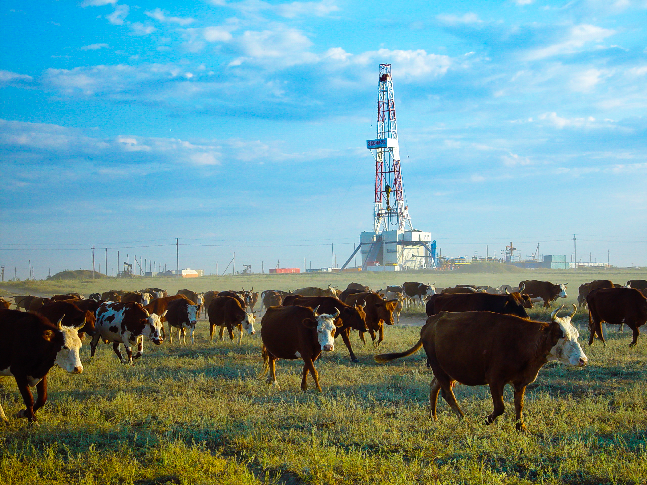 阿克糾賓項目讓那若爾油田與草原和諧共存.jpg 阿克糾賓項目讓那若爾油田與草原和諧共存.jpg